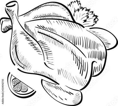 Chicken, food vector isolated illustration n white background. Concept for logo, menu