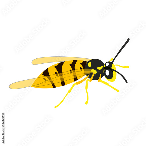 Colorful wasp vector icon isolated on white background. Flat style. Vector illustration of insect.