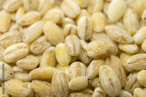 Pearl barley oats closeup. Macro photography