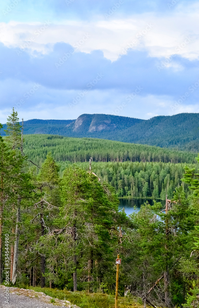 Forest landscape in Lapland Finland Forest landscape in Lapland Finland
