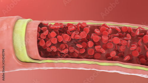 3d illustration of red blood cells inside an artery, vein. Healthy arterial cross-section blood flow. Scientific and medical microbiological concept. Enrichment with oxygen and important nutrients. photo