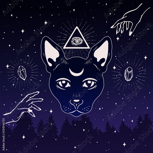 Magic cat face with moon on forehead in the night sky. Masonic eye in triangle. Occult symbols on the starry sky background.