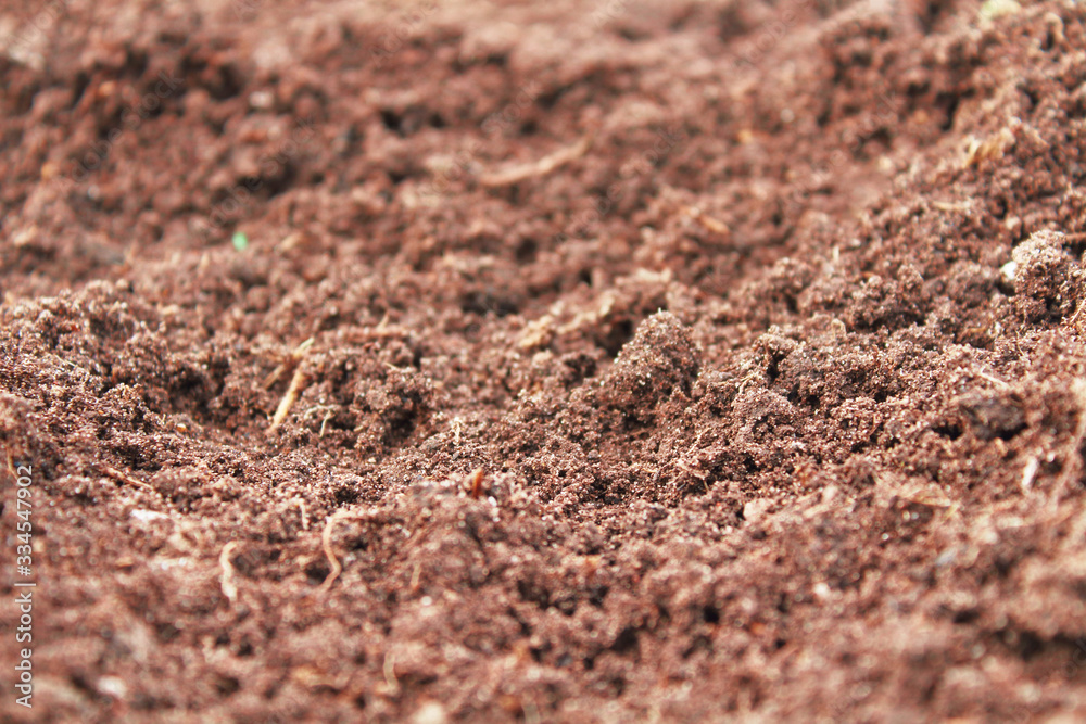 Fresh fertile soil. Close-up. Background. Texture. Fresh fertile soil. Close-up. Background. Texture.