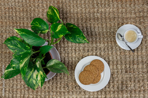 Cup of coffee, cookies and a plant on a piece of rope. View from top. selective focus.
