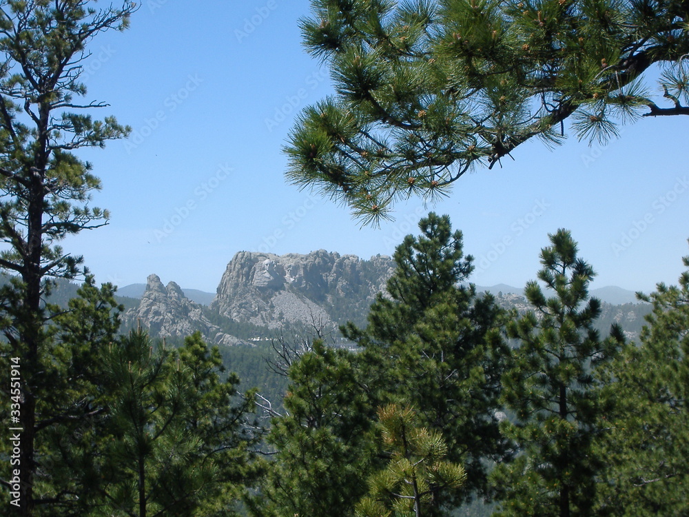 Obraz premium Mt Rushmore with trees