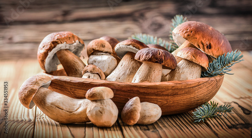Beautiful boletus edulis mushroom banner in old rustic bowl. White dried mushrooms on wooden board with green spruce twig. Ceps Boletus over Wood Dark Background.