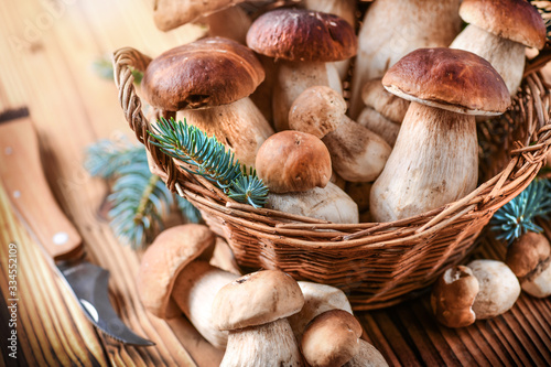 Mushroom Boletus in wooden wicker basket. Autumn Cep Mushrooms. Boletus edulis over Wood Background, close up on rustic table. Cooking delicious organic deliciou food mushroom.