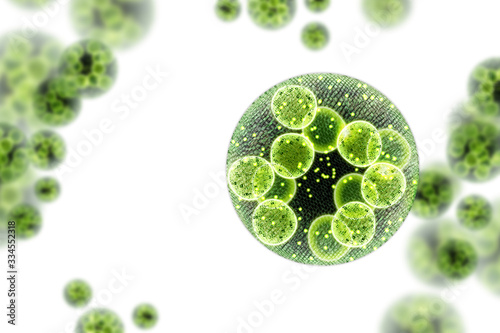Fotomurale Green Algae Cells 3D Illustration
