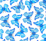 Watercolor pattern with butterflies in blue. Suitable for paper, packaging, fabric.