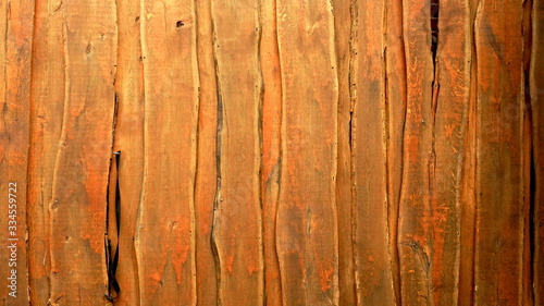 Obraz na płótnie Wood Background tropical style mockup w salonie