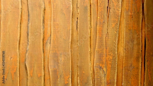 Obraz na płótnie Wood Background tropical style mockup w salonie