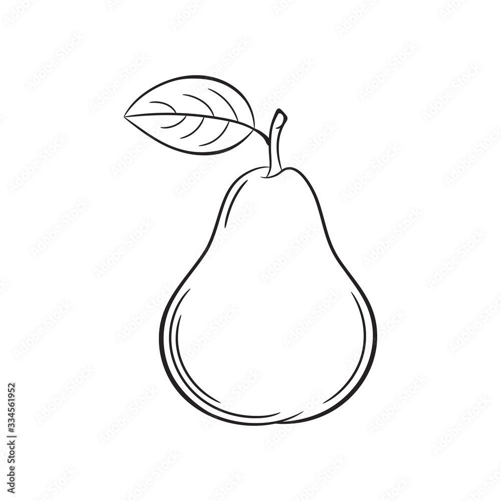 Pear Fruit Drawing