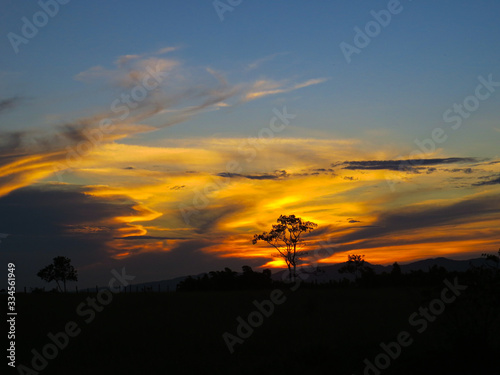 beautiful sunset with tree spot
