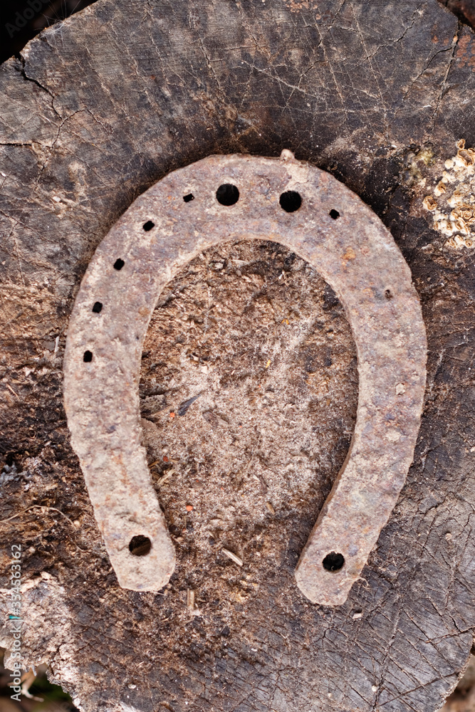 Horseshoe on a wooden log. Close-up. Horseshoe on a wooden log. Close-up.