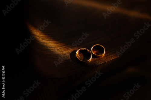 Wedding rings in low key. Wedding rings background concept. Copy space.