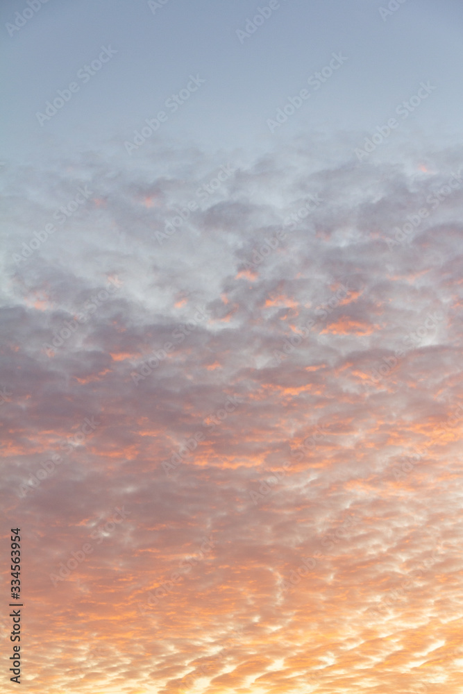 Naklejka premium cirrus clouds on a peach sky