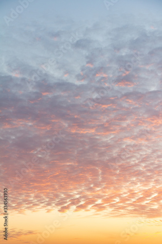 cirrus clouds on a peach sky