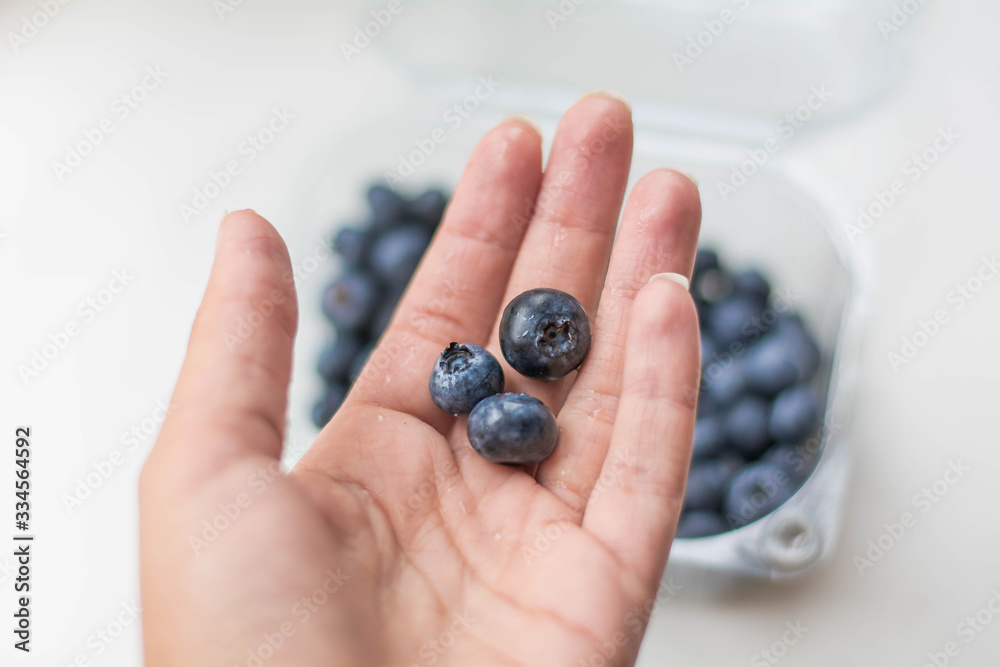 ripe blueberry in hand