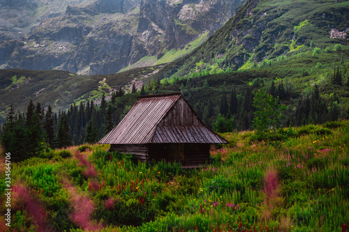 Drewniana Chatka Dolina Gąsienicowa W Tatrach