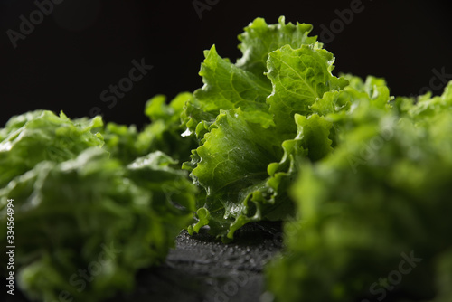 texture of lettuce leaves on a dark textured background
