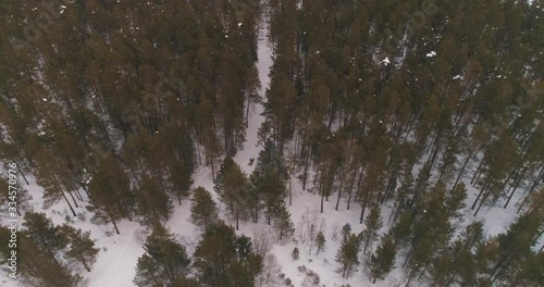 Snowmobile rides in a snowy forest. The mountains. Shot on a drone