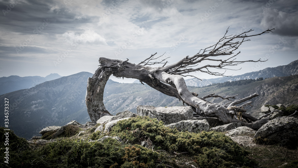 la force de la nature a ses raisons d'être