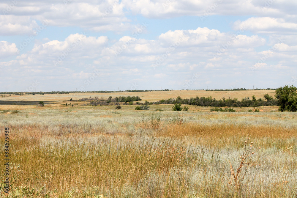 Steppe distant yellow dry grass and sky in the clouds