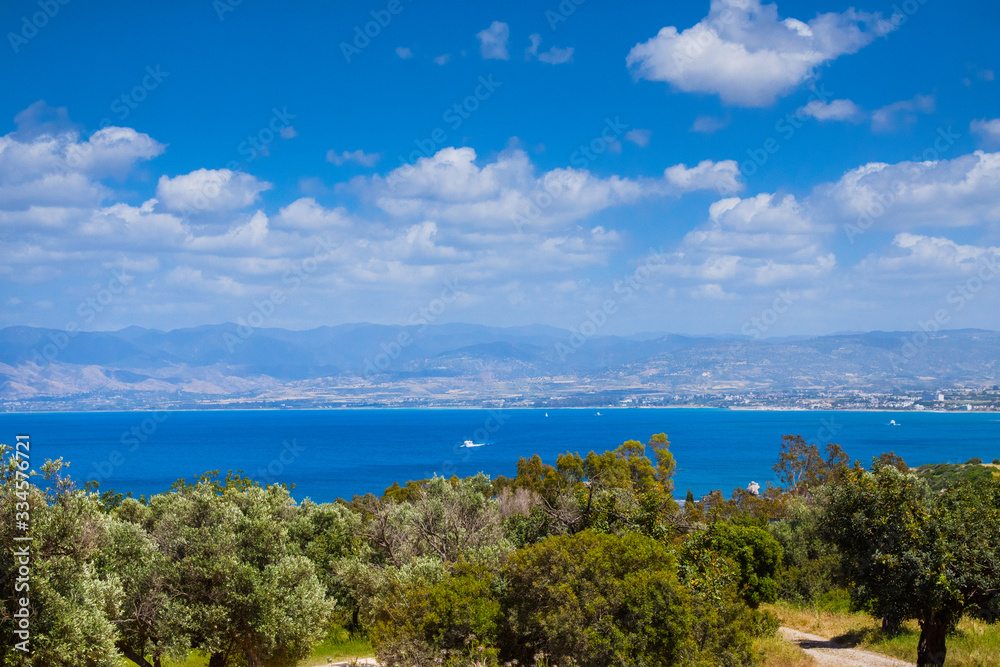 Summer seascape on Cypus. View to the bay with green grove in front and blue clouded sky. View from the hill. Latchi village on other side of the bay.