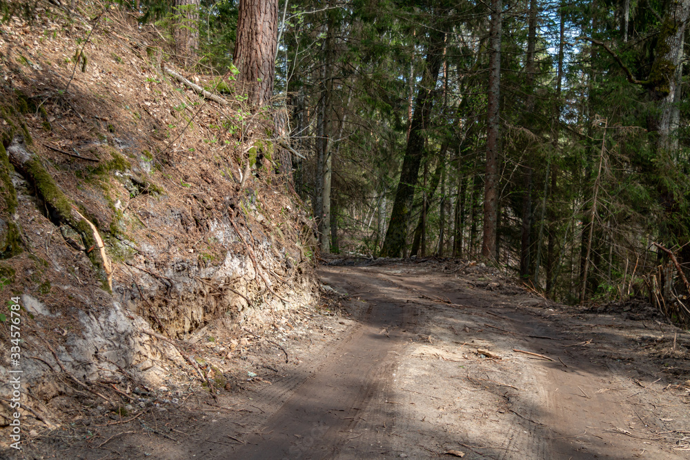 Forest road in a mountainous area Forest road in a mountainous area