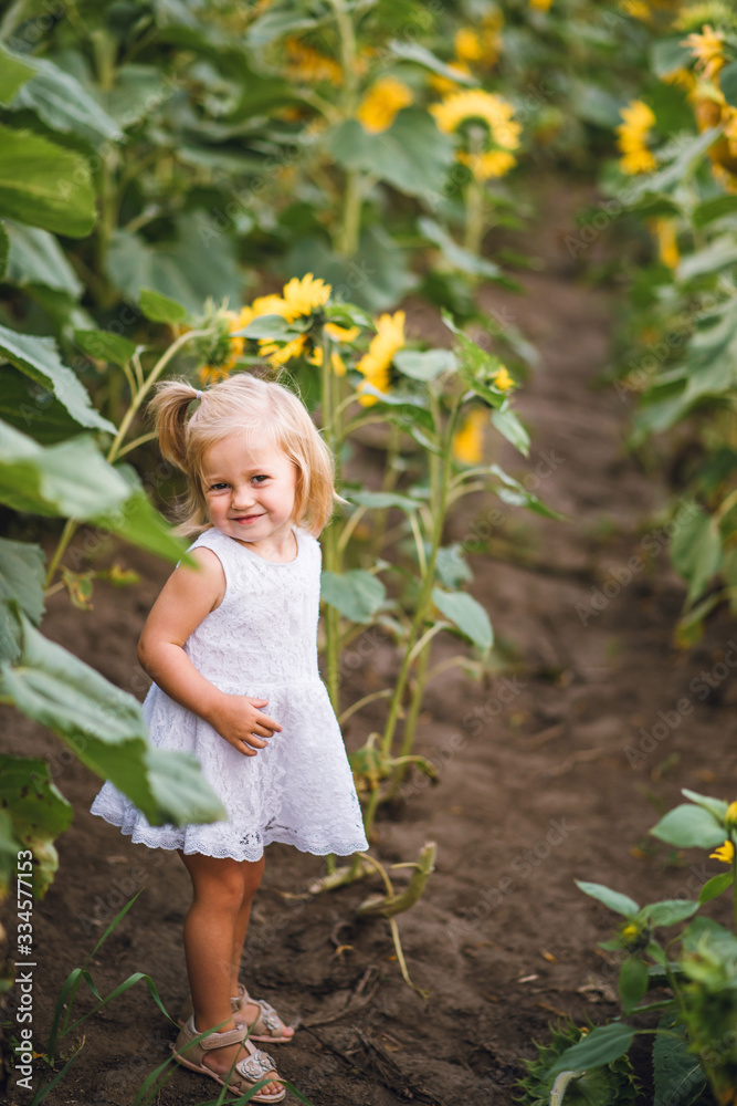 little girl in a field of sunflowers little girl in a field of sunflowers