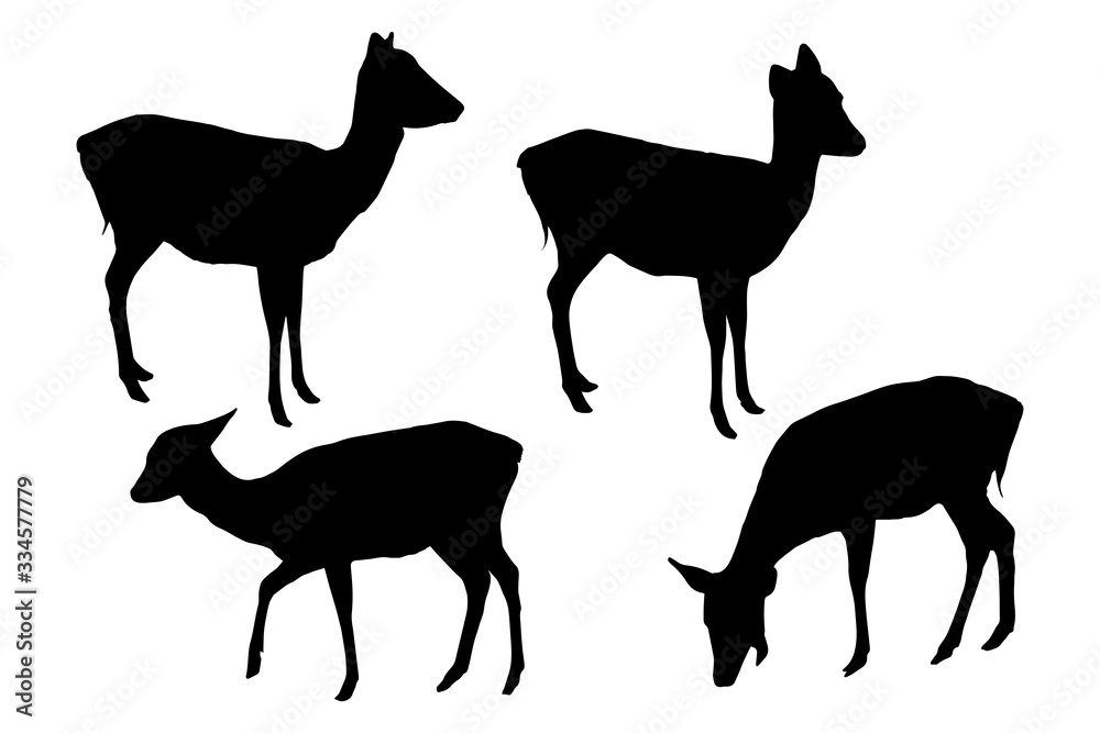 Wild fallow deer silhouettes set isolated