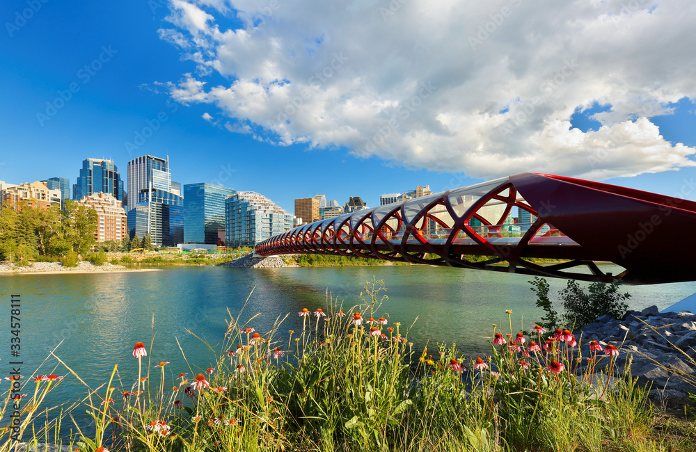 Naklejka premium View of Peace Bridge at Calgary AB Canada on a sunny afternoon. Peace Bridge is a pedestrian bridge.