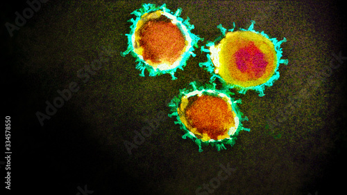 illustration of an electron micrograph screen Coronavirus mutant of the corona covid-19 virus - SARS-COV-2