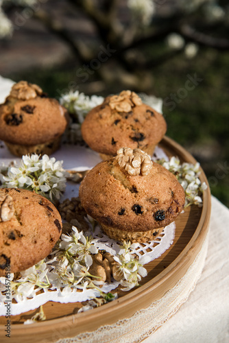 Tasty vanilla cupcakes with raisins. Homemade muffin cupcake with sugar powder. Easter sweet dessert cake. Close up view. Cupcakes in blooming trees. Outdoor shooting in garden.