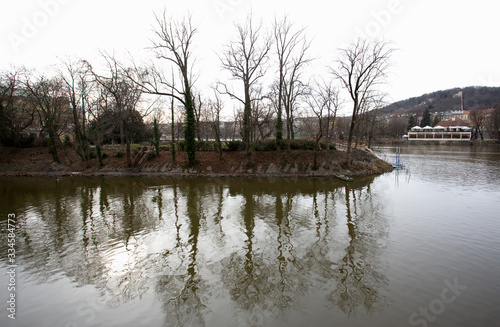 Trees reflecting in the river in Prague