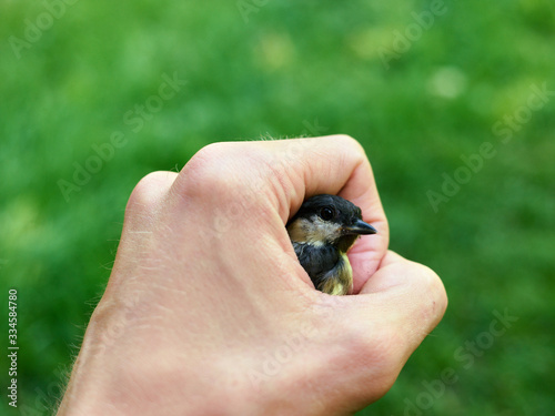 Most seek peace and confidence in the future - a tit in their hands. To succeed in life you need to consciously take risks, dream and achieve what you dream about