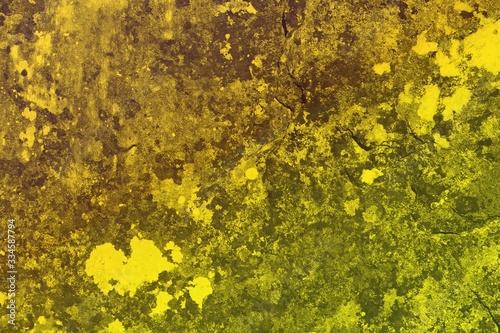 yellow grunge vintage moss on wall texture - wonderful abstract photo background