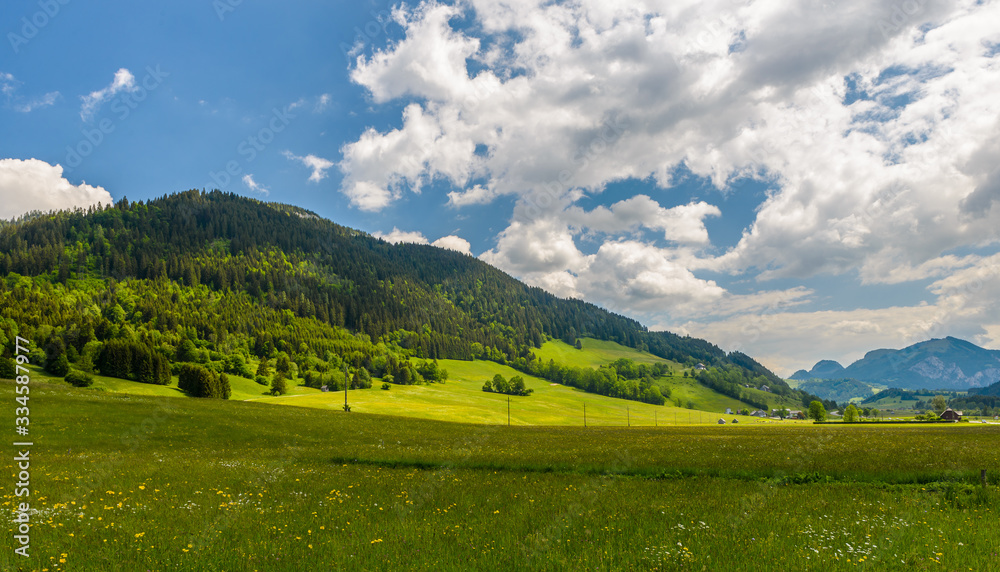 Country field, flowering spring meadow with forest and mountains in background and cloudy sky.