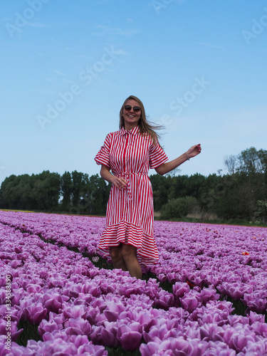 Fototapeta Naklejka Na Ścianę i Meble -  Tulip farm in Netherlands