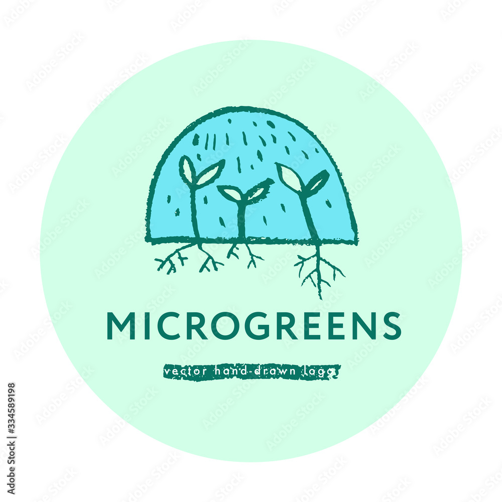 Microgreens cultivation label tag. Vector hand-drawn growth logo. Vegetable greens, baby greens, soil line, seeding, baby plants, home cultivation, greenhouse, farmers market, sprouting plants —  Eco.