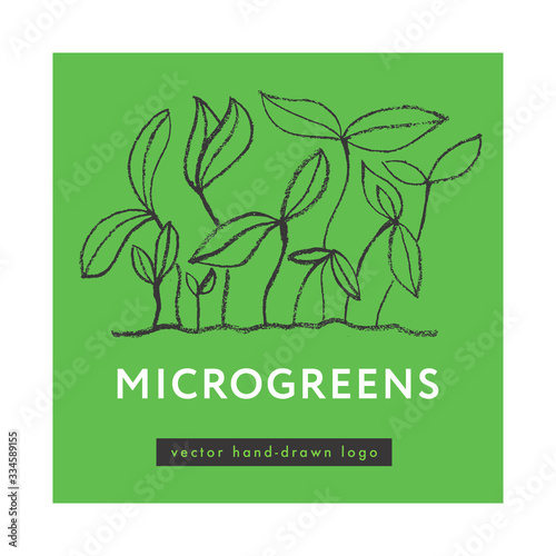 Microgreens cultivation label tag. Vector hand-drawn growth logo. Vegetable greens, baby greens, soil line, seeding, baby plants, home cultivation, greenhouse, farmers market, sprouting plants —  Eco.