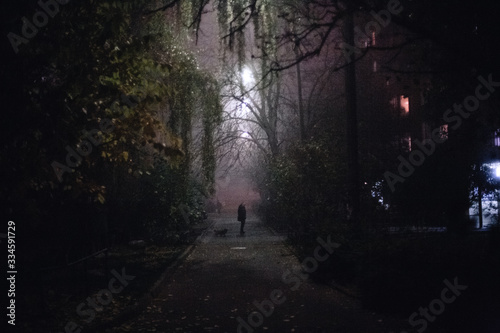 Wallpaper Mural Empty foggy spooky alley street during night in city Torontodigital.ca