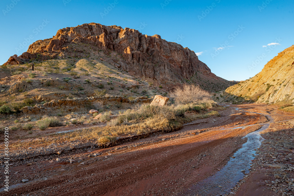 Red Bluff Spring creates a small stream that trickles in front of Bitter Ridge for over a mile in Gold Butte National Monument, Clark County, Nevada