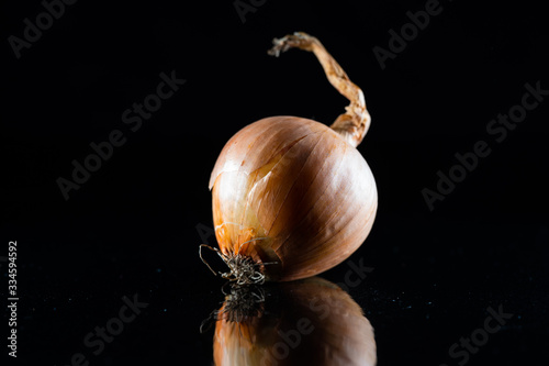 Zwiebel auf schwarzem Hintergrund