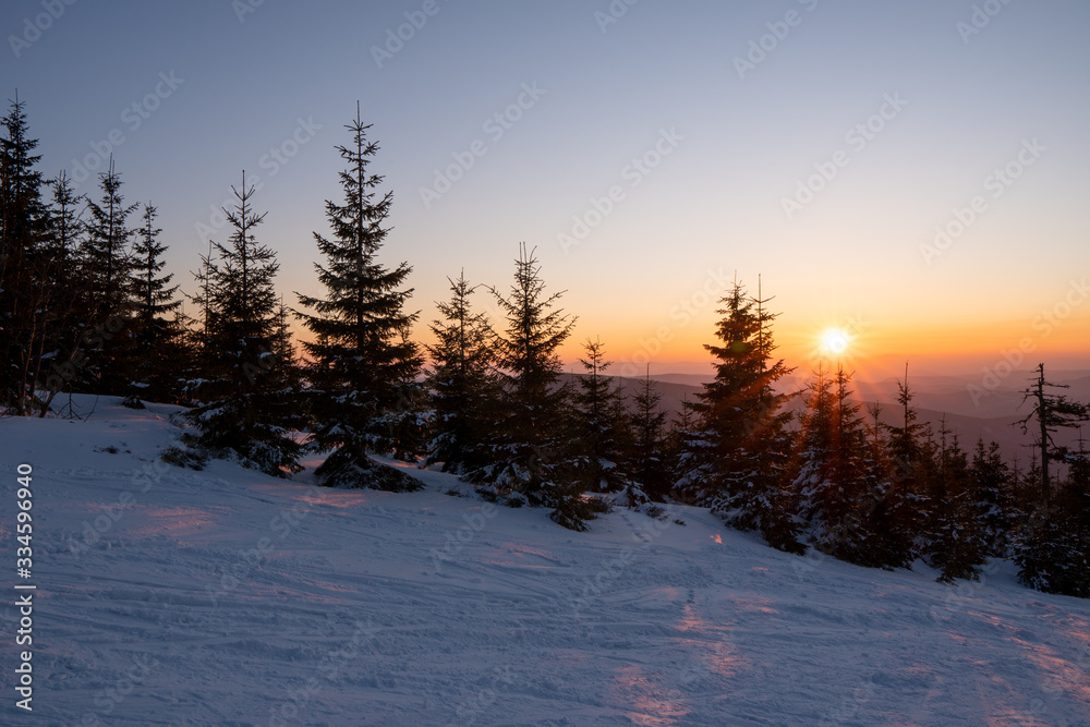 Sunrise in the mountains with trees and tracks from skis in the snow