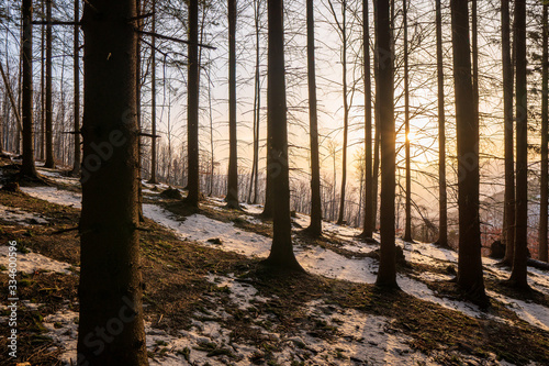 shining sun into the forest in the morning mountains