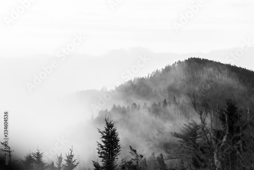 Fog Covering Mountains