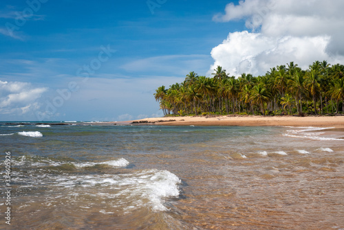 Sunny day at Taipú de Fora Beach, Penisula de Marau, BA, Brazil on February 22, 2008 photo