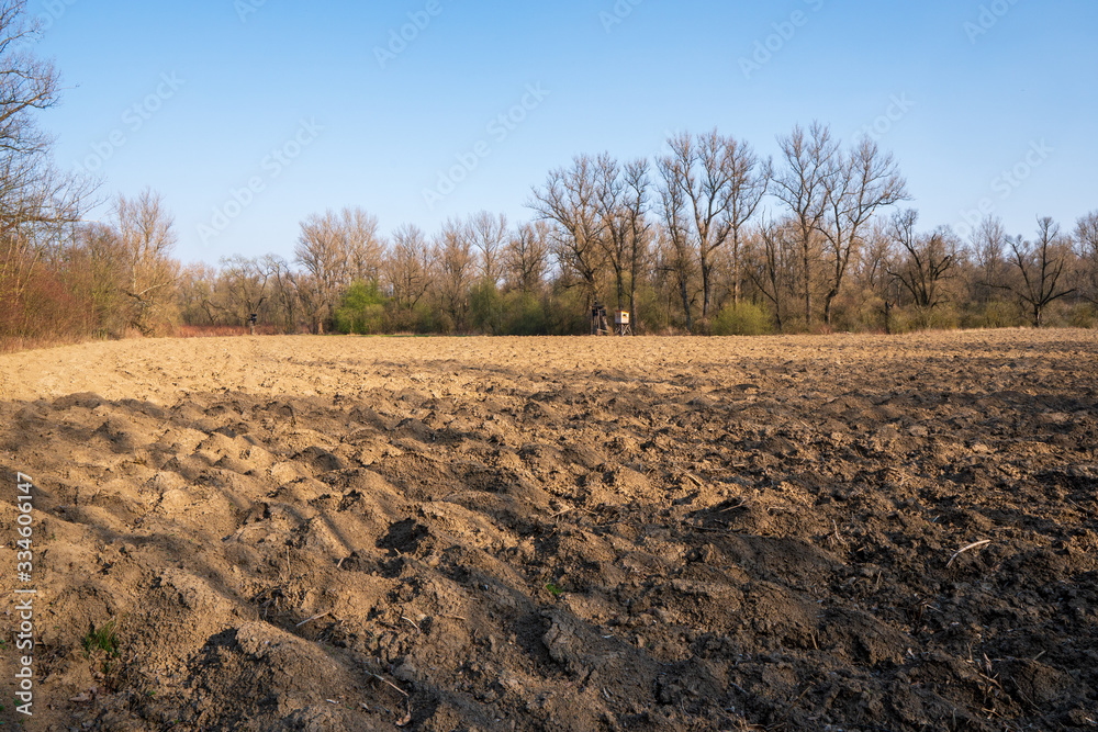 Plowed field in spring with trees and sitting in the background Plowed field in spring with trees and sitting in the background