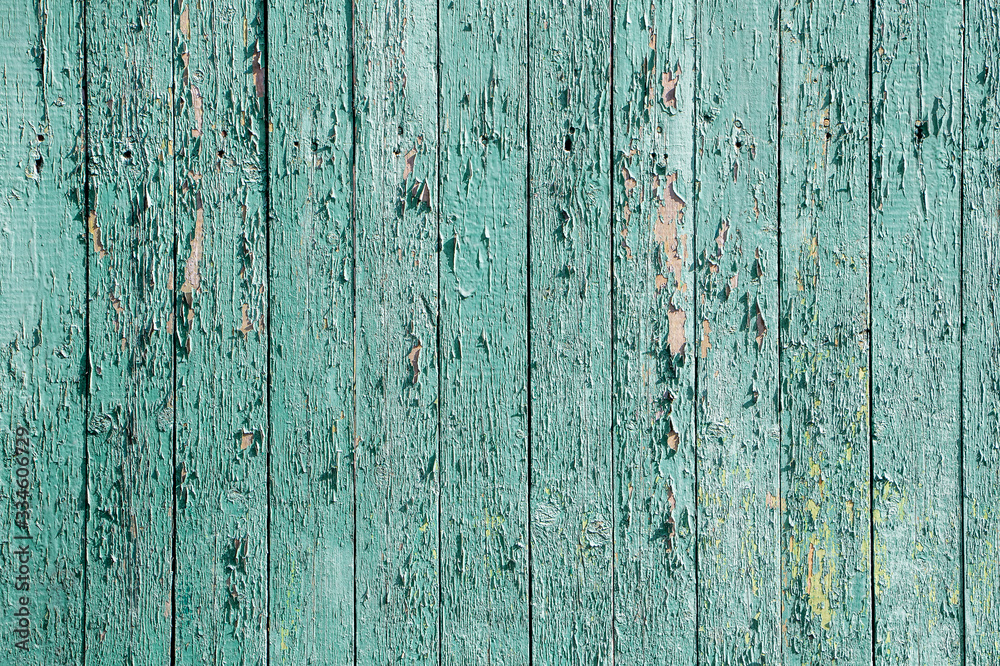 Old wooden mint colored rustic fence texture with peeling paint. Old wooden mint colored rustic fence texture with peeling paint.